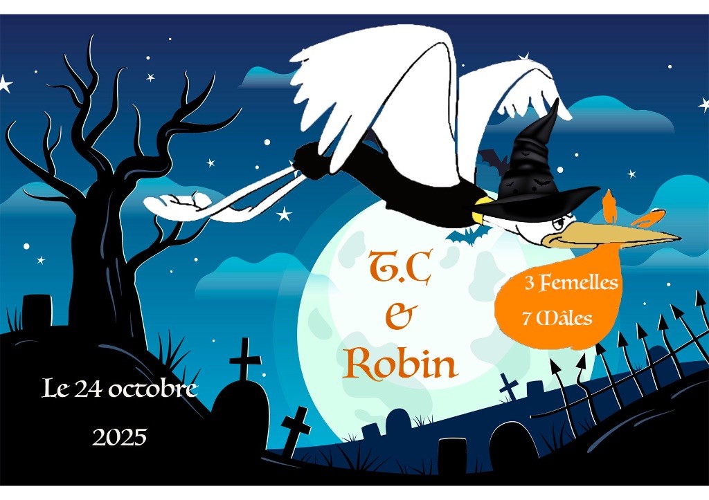 De Miel et d'Or - Naissance de 10 petits sablés Bretons