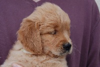 Little